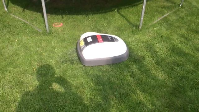 Robot Koszący Honda Miimo W Czasie Pracy