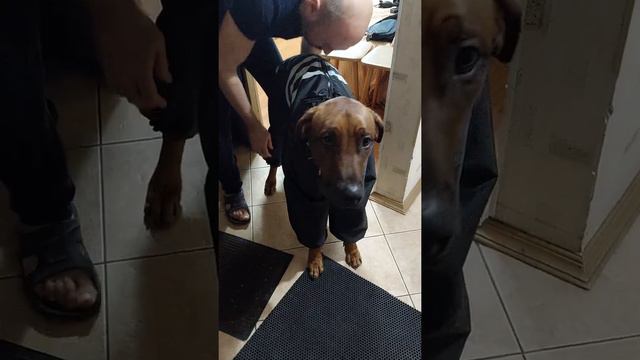 Ab57707e98ebe64ee5b6c81241900d14