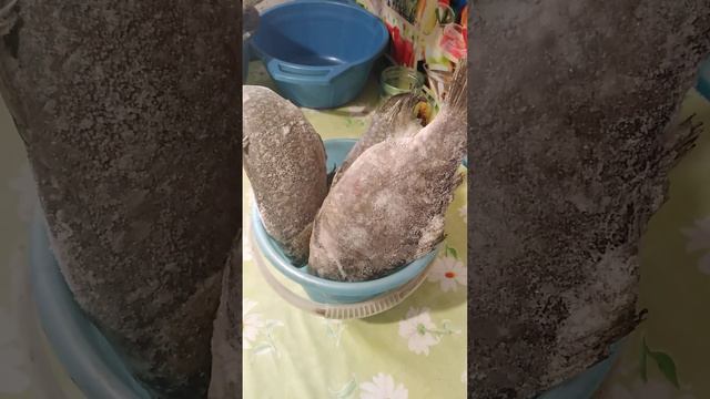 Вкусная рыба для курей.