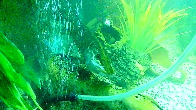 VID_20140214_112350[1]