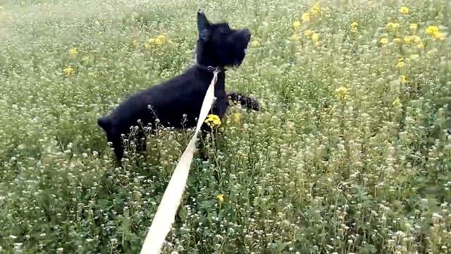 Ee0a64f369159141585c3bc5db52414c