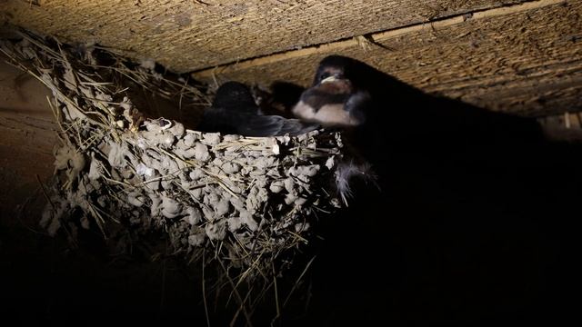 2c9ac7aea7d5f40f6595ac1138f8cd74