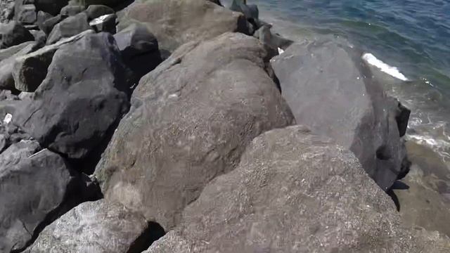 625d30f64415ecd74f8048543269d9d5