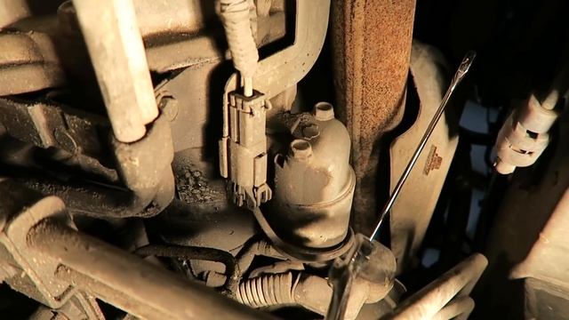 Infiniti: стиль и мода на автомобильной дороге