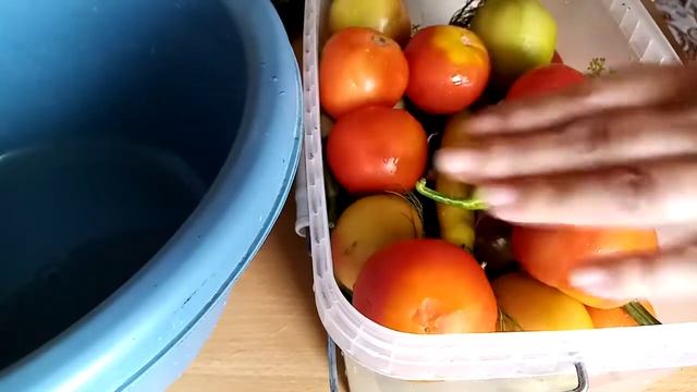 #бочковые_помидоры  Солим бурые помидоры, получаются как бочкавые