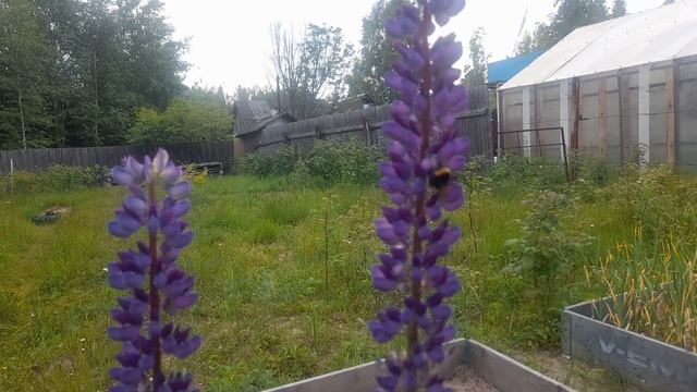 Здоровый образ жизни