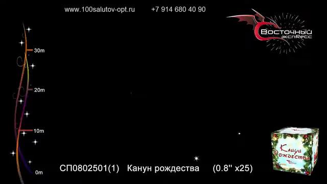 100salutov-opt.ru     0,8