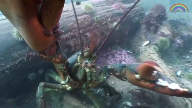 73b13137bf6328d31562f5164d5185dc