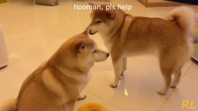 Part I - Dr. Mlem's Spaghet