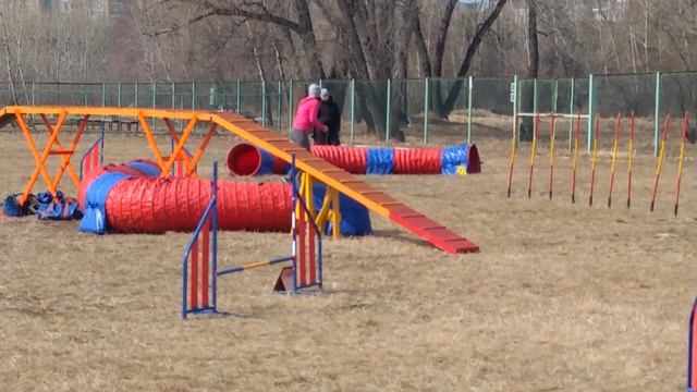 Ольга и шпиц Ёжик 18.04.2021