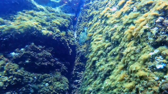 16c16d8635a6e2d5b9bccf0d2b308e76