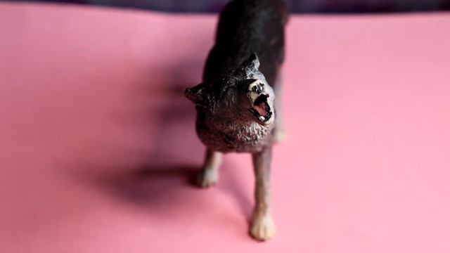 35f6345b01e214715c6866f37b966a9b