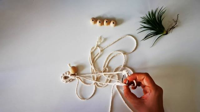 DIY Macrame Air Plant Hanger