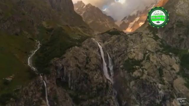 Кошка в исламе