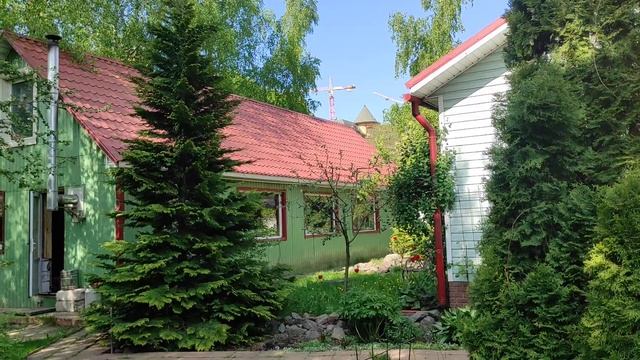 Сегодня видел друга во сне Саню.