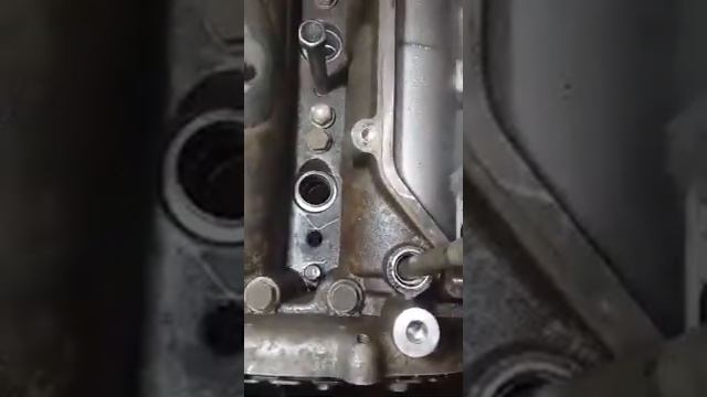 Замена и установка цепи ГРМ