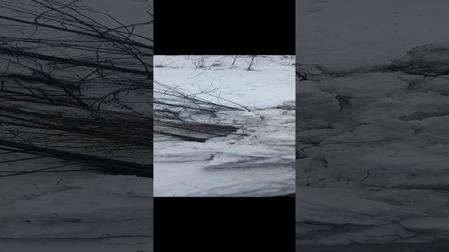 СНЕЖНОЕ МОРЕ