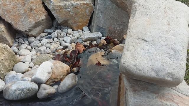 Stavba DIY Jezírka - Skimmer Jinak, Neboli čistá Hladina.