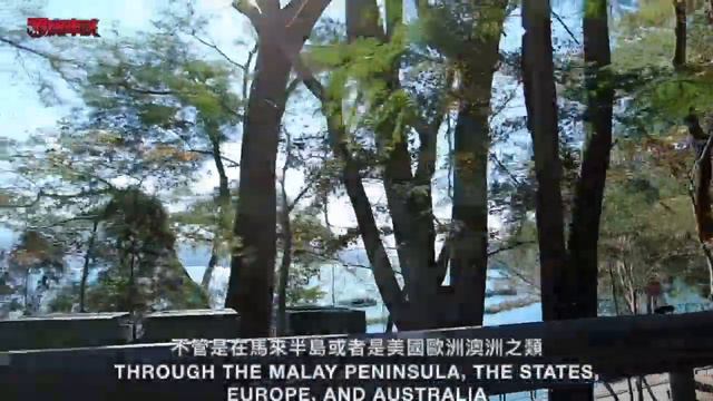 Mercedes-Benz C300 Estate | New Cars On The Block | Robin's Car Talk 羅賓車談