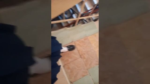 видео снимала 3 часа назад