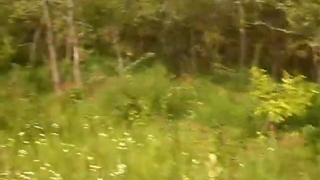 Учим JS Вместе