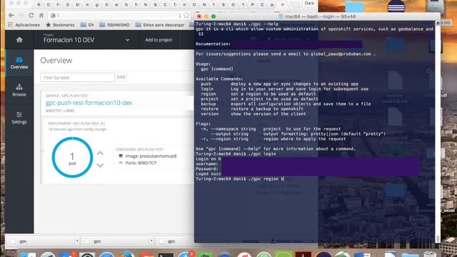 Global PaaS Client Push Command (binary Deployment)