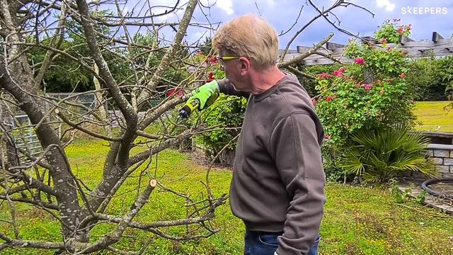 18V ONE+™ HP Cordless Brushless Secateurs (Bare Tool) [RY18SCXA-0]