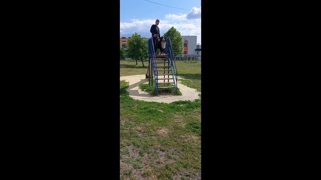 Зенненхунд 🐾районы-площадки-жилые массивы