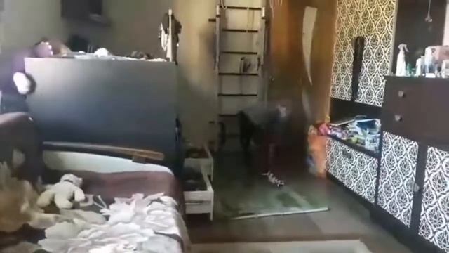 Быстрый способ вырвать зуб)))