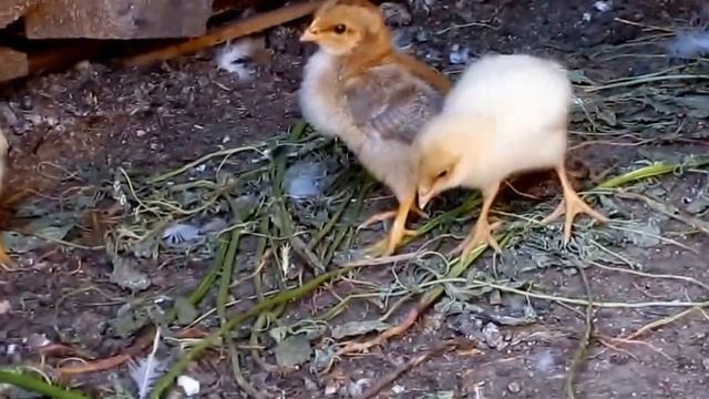 65573e0760afcba1e63485c426114de4