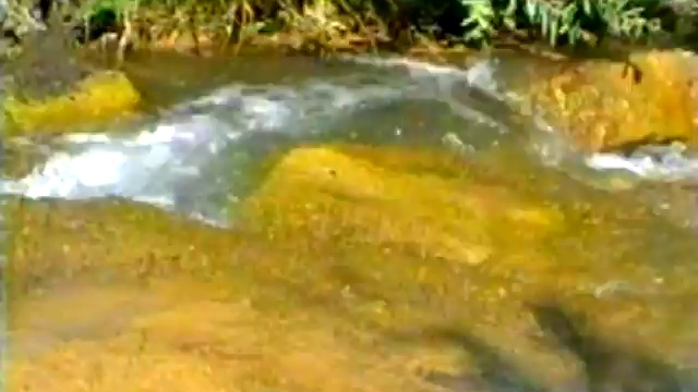 29b77f49062fe662d5da3794036e838f