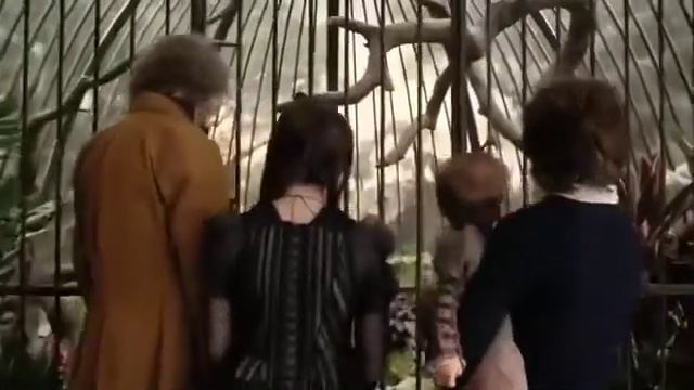 A Series Of Unfortunate Events - The Reptile Room