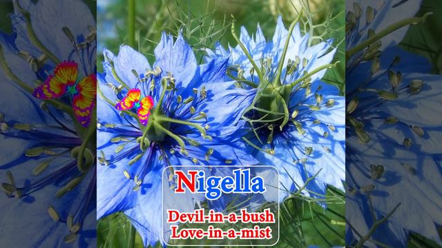 5037cdb2e0c1a68fc4454a3ac7cc2fe8