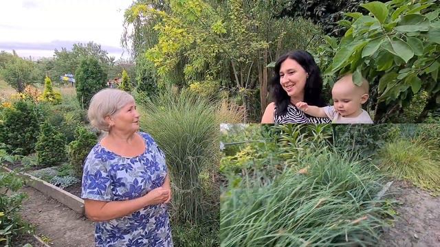 Ваши сады. Природный сад Татьяны Николаевны.