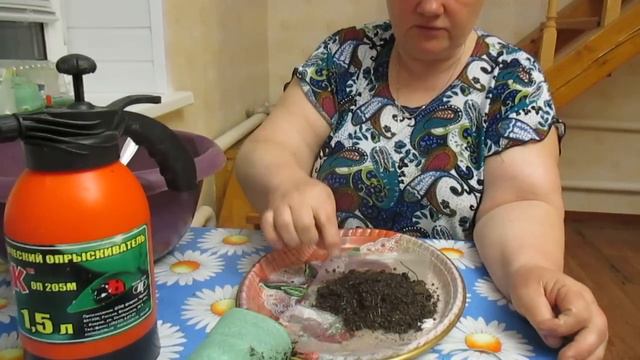 И снова о пикировке томатов в 