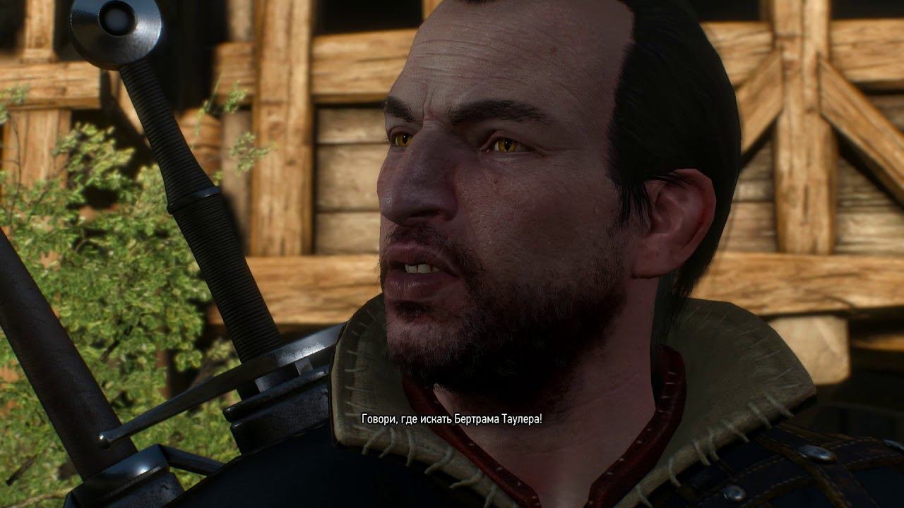 The Witcher 3 - Распутывая клубок - Новиград №71