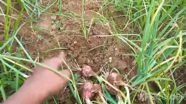 B0f14c2e828e091359222976aac6c6b6