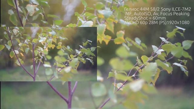 0a7184ca5252711553c55cdeec469cc0