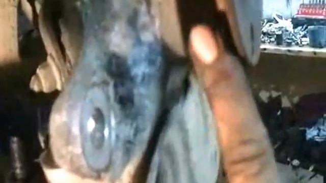 Домашний Красота