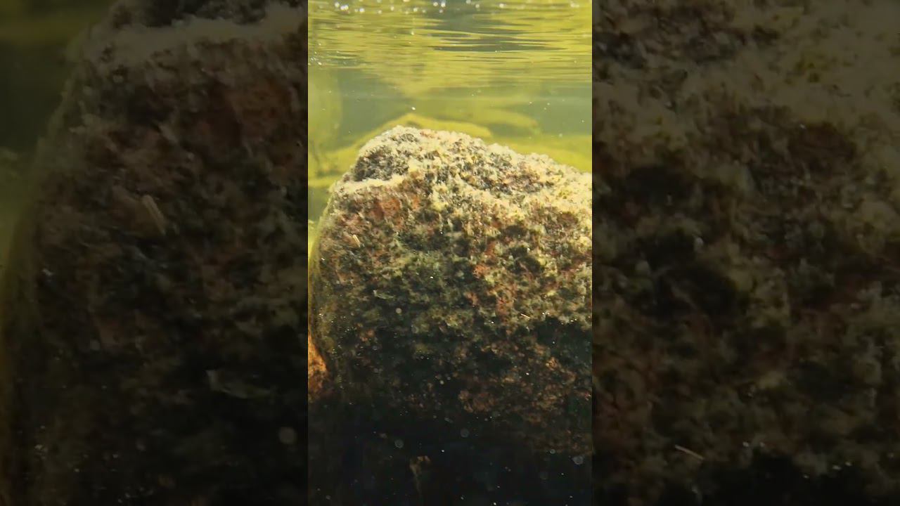 3480ed861663f2435c98bb7558692115