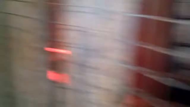 Начинаем разводить кур