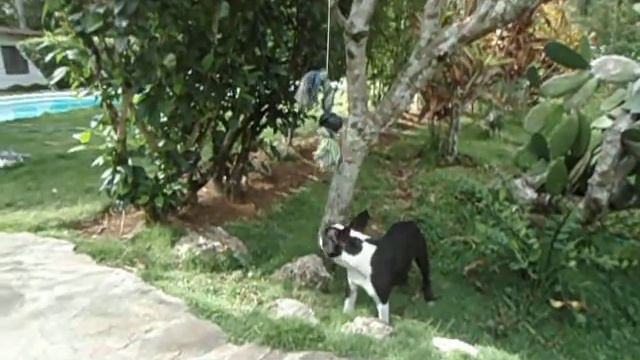 19fe812f4d92ea17b617d1361867f87b