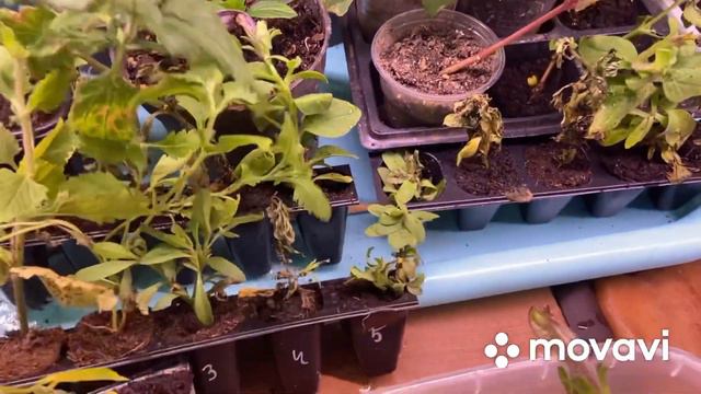 59ac5d401f8969170f0acf6e9064e719