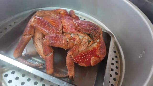 Готовка кокосовый краб
