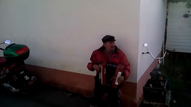 СТ. ХОЛМСКАЯ УЛИЧНЫЙ МУЗЫКАНТ ПОЕТ ПОД ГАРМОНЬ.