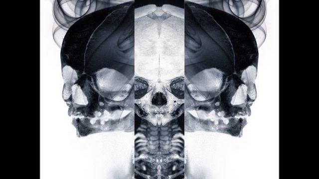 Die Sektor - ROM   (Die Braut Remix)