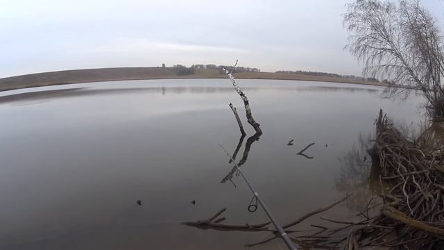 Рыбалка на Береговом. Отзыв о спиннинге NARVAL ARGUMENT 82М.