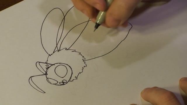 How To Draw Animals : How To Draw A Honey Bee