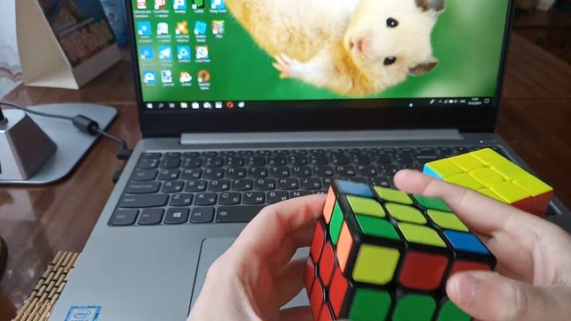 168ce79032db82b16b4f9a72a4843247