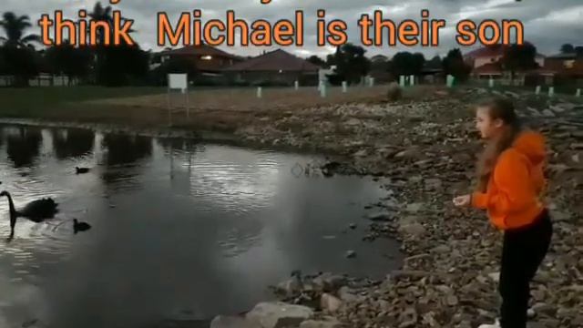 Black Swan Feeding Чёрный лебедь